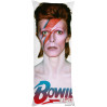 David Bowie Full Body Pillow case Pillowcase Cover