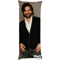 John Stamos Full Body Pillow case Pillowcase Cover