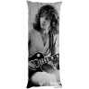 PETER FRAMPTON Full Body Pillow case Pillowcase Cover