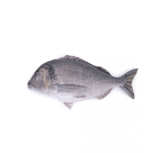 Gilt-head Bream Fish Shaped Photo Soft Stuffed Decorative Pillow