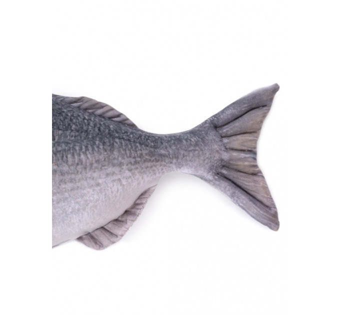 Gilt-head Bream Fish Shaped Photo Soft Stuffed Decorative Pillow