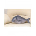 Gilt-head Bream Fish Shaped Photo Soft Stuffed Decorative Pillow