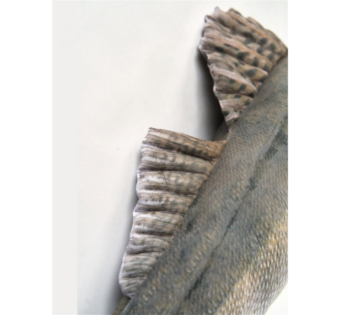 Walleye Fish Shaped Photo Soft Stuffed Decorative Pillow
