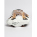 English Mastiff Dog Shaped Photo Soft Stuffed Decorative Pillow with a zipper