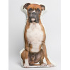 Boxer Dog Shaped Photo Soft Stuffed Decorative Pillow with a zipper