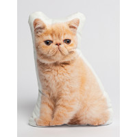 Exotic Shorthair Cat Shaped Photo Soft Stuffed Decorative Pillow with a zipper