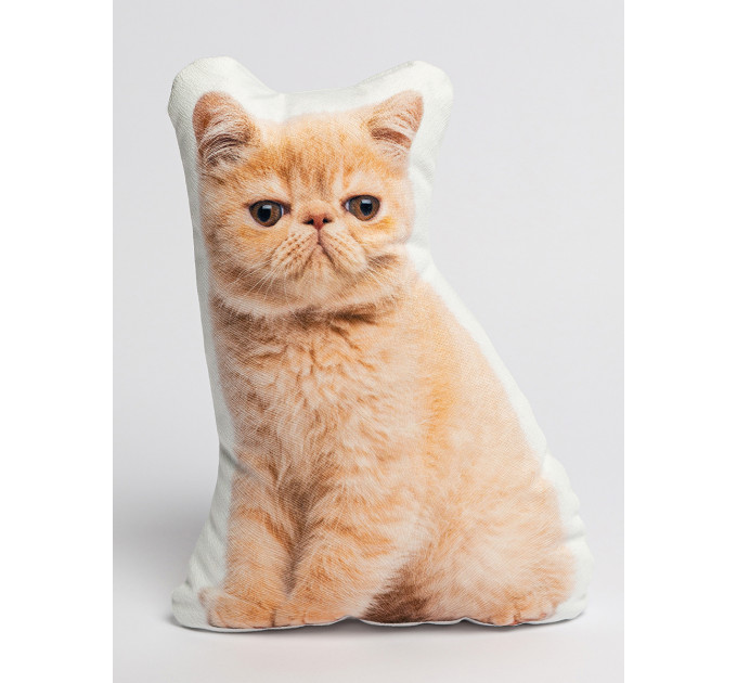 Exotic Shorthair Cat Shaped Photo Soft Stuffed Decorative Pillow with a zipper