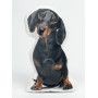 Dachshund Dog Shaped Photo Soft Stuffed Decorative Pillow with a zipper