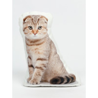 Scottish Fold Cat Shaped Photo Soft Stuffed Decorative Pillow with a zipper