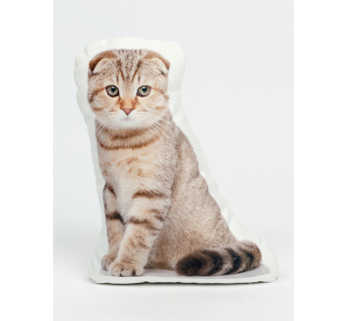 Scottish Fold Cat Shaped Photo Soft Stuffed Decorative Pillow with a zipper
