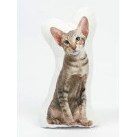 Oriental Shorthair Cat Shaped Photo Soft Stuffed Decorative Pillow with a zipper