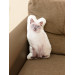 Siamese Cat Shaped Photo Soft Stuffed Decorative Pillow with a zipper