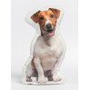 Jack Russell Dog Shaped Photo Soft Stuffed Decorative Pillow with a zipper