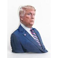 Donald Trump Shaped Photo Soft Stuffed Decorative Pillow with a zipper